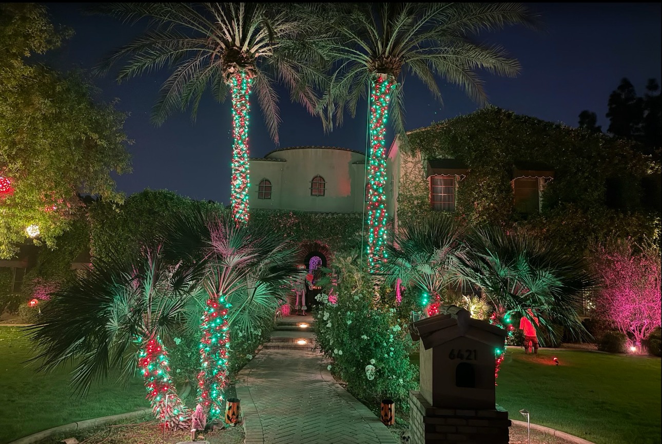 San Diego tropical home — palm trees with colorful Christmas lights